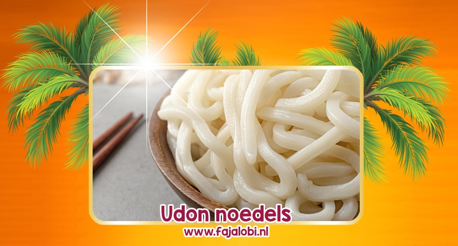 Udon noedels