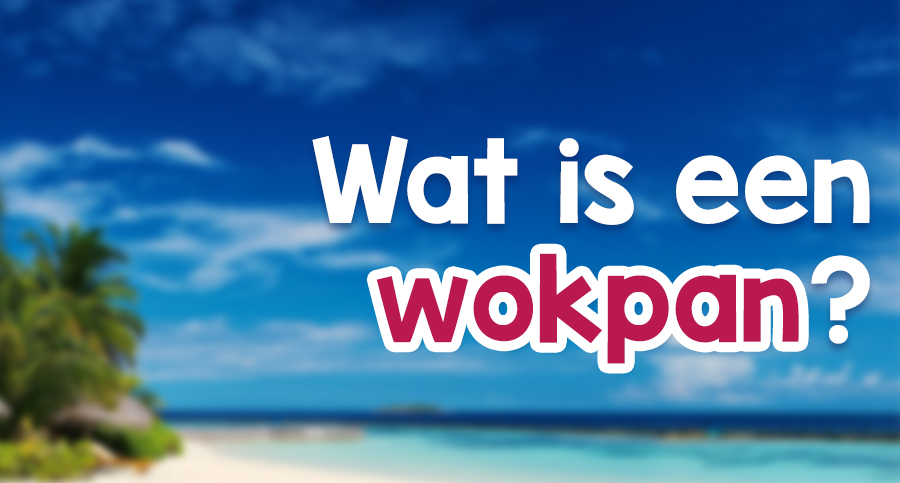 wat-is-een-wokpan